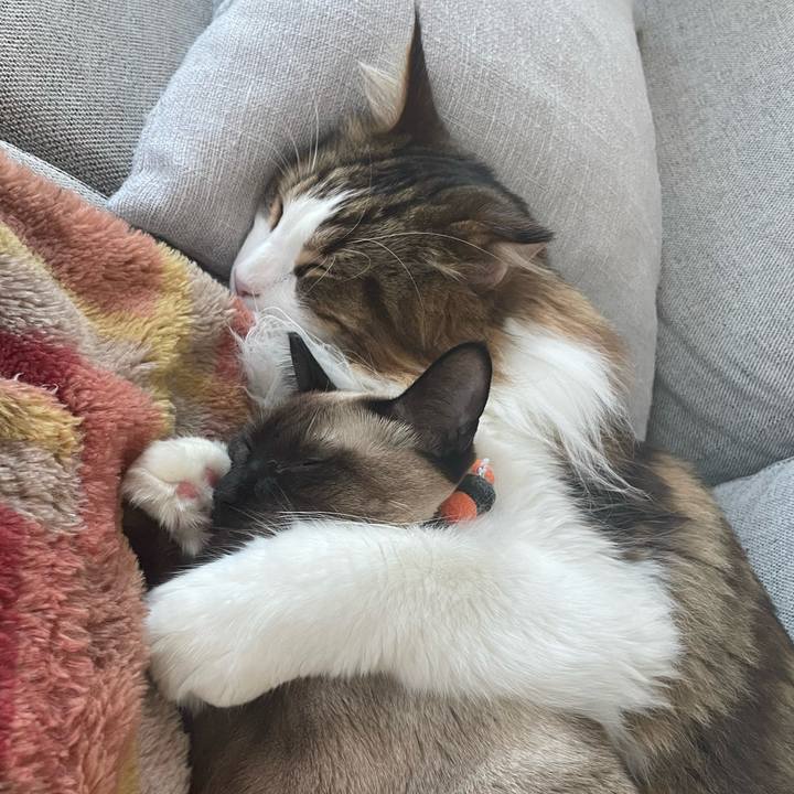 B8f285bf 8a8a 4e65 ba1a 9ade449dac4a 1729306020292