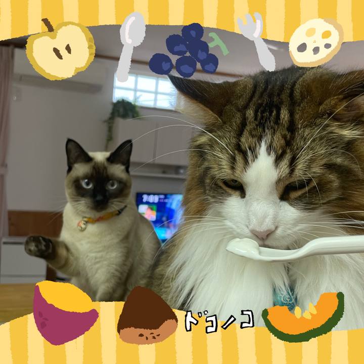 B8f2a350 c406 48f0 8a5f 64419d9ef314 1726957311386