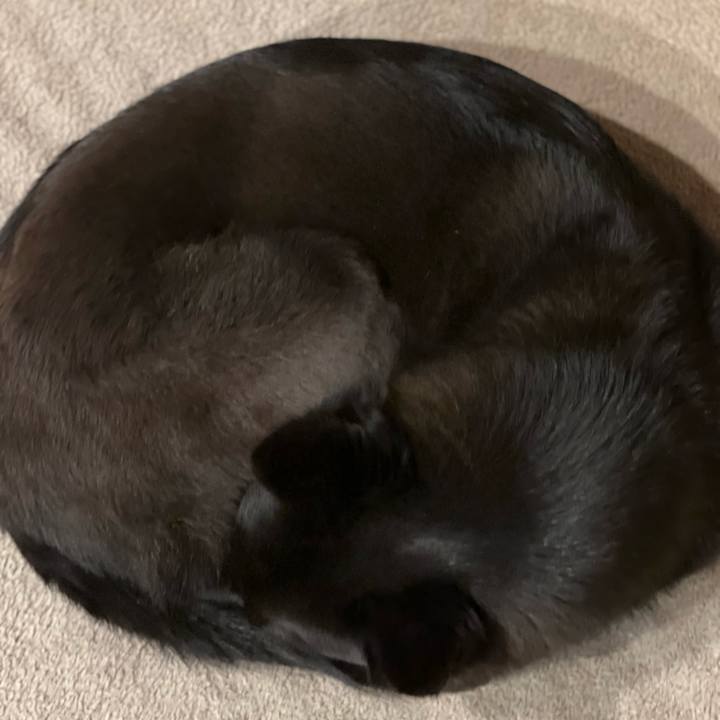 B8f2b551 d3bc 4ce4 8aad 1bd4b5cf9011 1651275615956