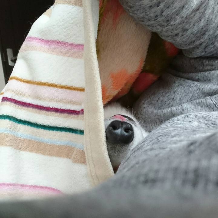 B8f30162 10e5 4afe a531 86a54d3889c4 1517579882875