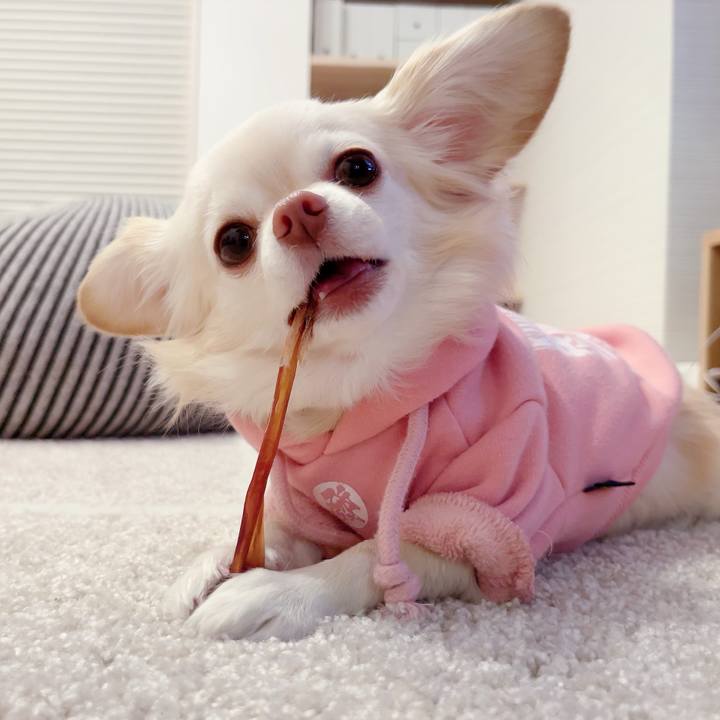 B8f304ac 4caa 4ec9 9567 f5b0be26237c 1701845627213