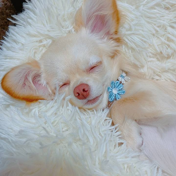 B8f3163b 0b41 451c a43a e672a3b8ea6c 1621592802064