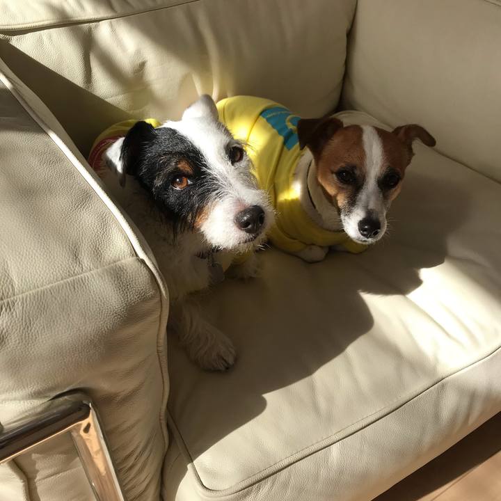 B8f3323d e389 4c36 b889 2e46dcadaaaa 1540955542497