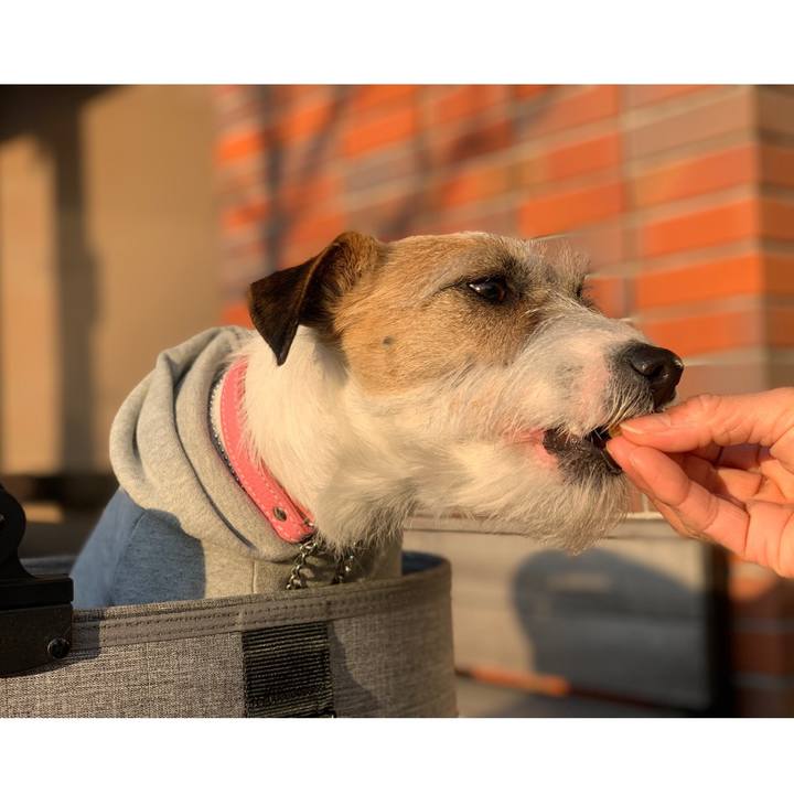 B8f341a1 690e 470b 8aa9 979ac7f415e4 1615460095311