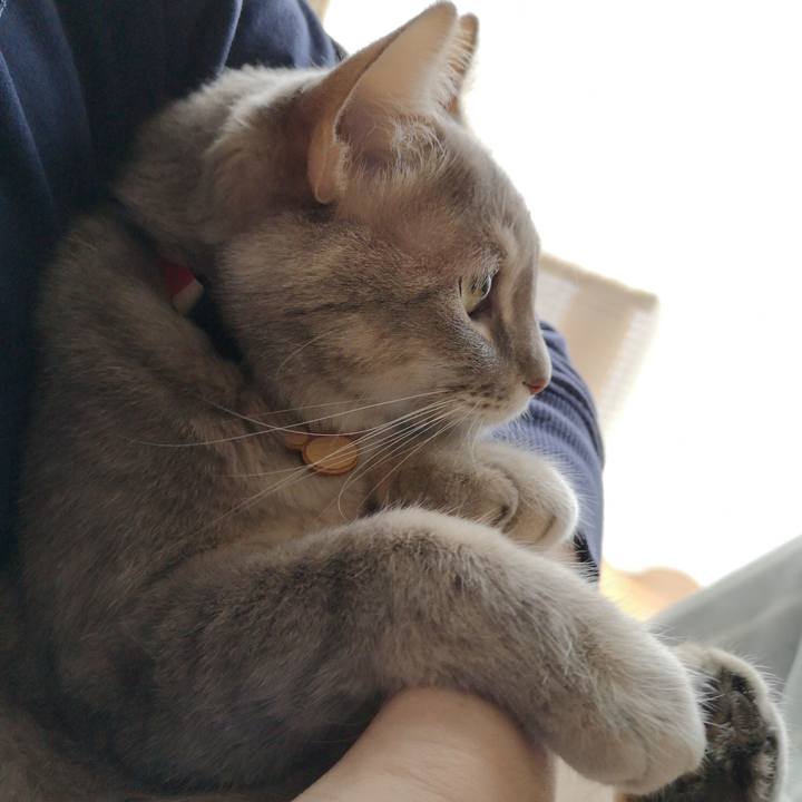 B8f359d8 d43d 42a1 912d 74275dcd4395 1583238772913