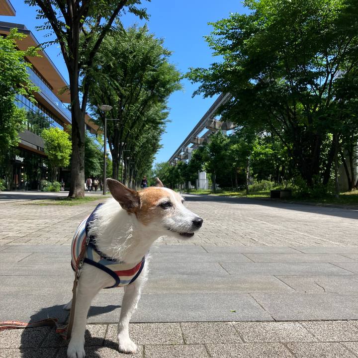 B8f39fb4 4284 4ff5 992e db895d834340 1685839534187