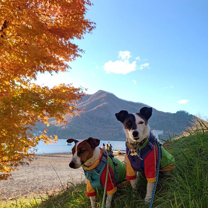 B8f3a031 f70d 4726 9a35 962d1c8331c9 1667731963258