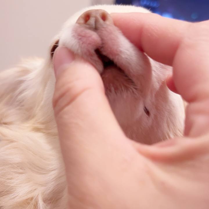 B8f3a852 f8d9 4e10 9577 d46c5ca16b20 1737725956617