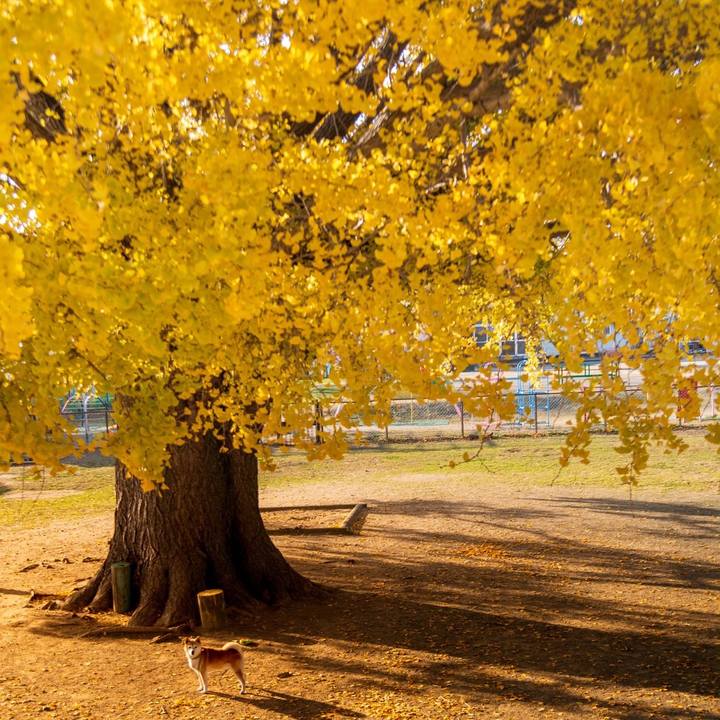 B8f3bbd6 f32b 4dca 8cc8 2389be120b05 1576298547699