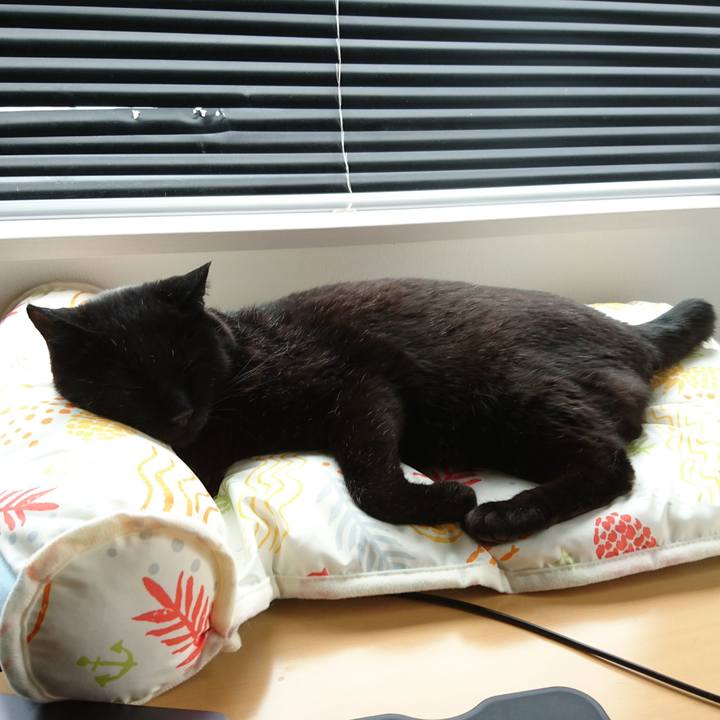 B8f3ca6a 98f4 481e aa79 c65adcc282d3 1559100934430