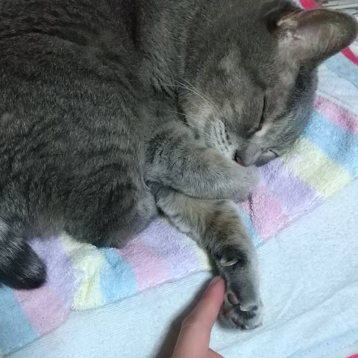 B8f3d97e 13c0 4557 89c1 35022295014d 1666189318091