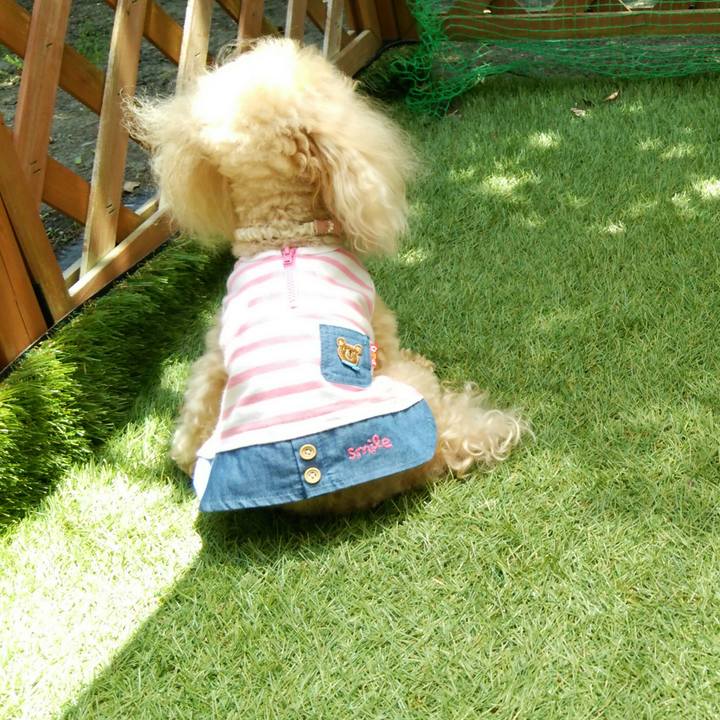 B8f3e5f4 cd0b 47e5 9371 4df8ee3bad5b 1528111438661