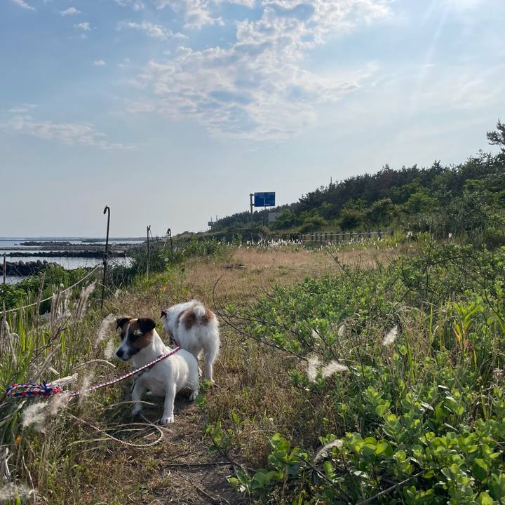 B8f3e7ce 69e6 457c 89ea 4c3a59092342 1718409995037