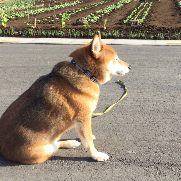 B8f407ae 8eaa 4819 965d 7f5163b9d306 1606362202653