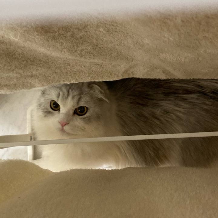 B8f40d4e 6ef1 47a2 82e2 a165b67d23c9 1622814098966