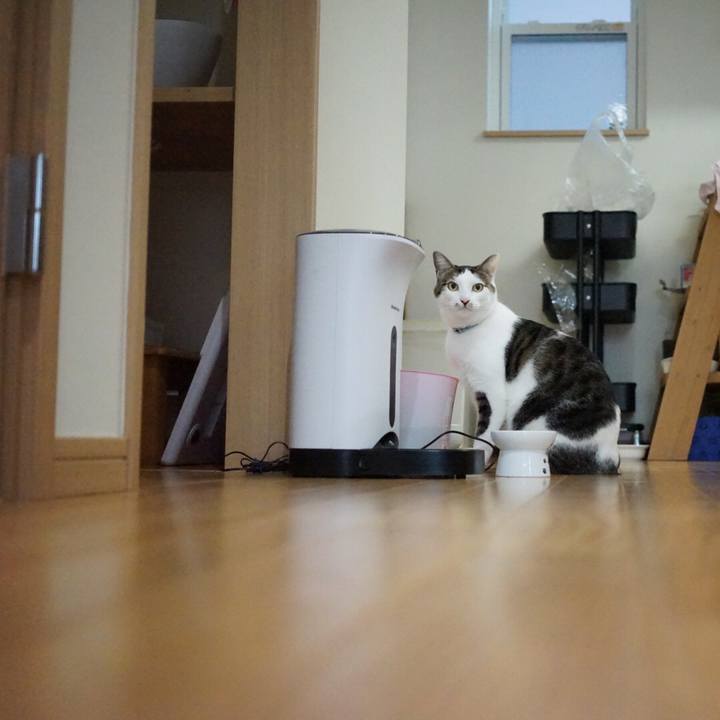 B8f42fa4 11a7 4251 a02e 043b8152251e 1542326171006