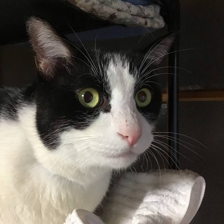 B8f433d6 74ff 47b0 84b6 a573da5de9bc 1726477015931