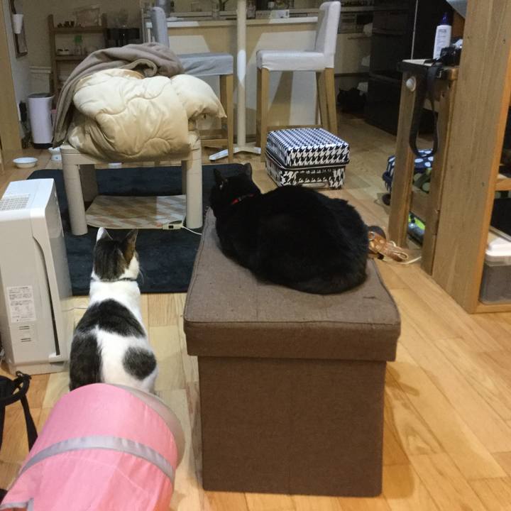 B8f43d09 642f 4448 be62 59d02a434cea 1546180031571