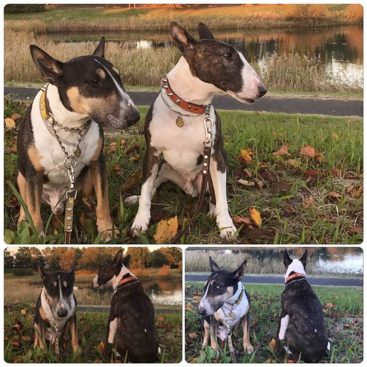 B8f4973e c385 4be3 929d 5bc90bed898d 1509955236924