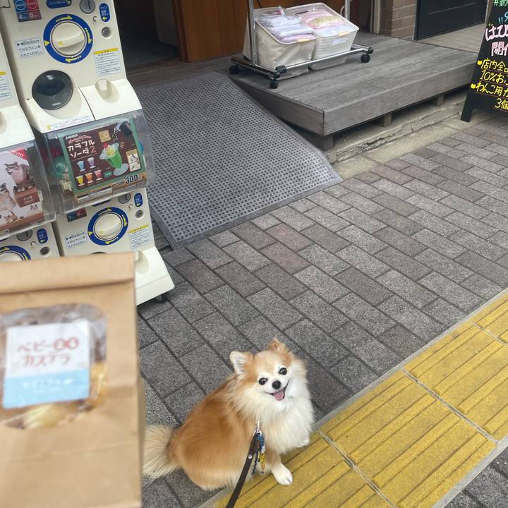 B8f49db5 a2af 4018 be40 9987c11ddc19 1758527130752