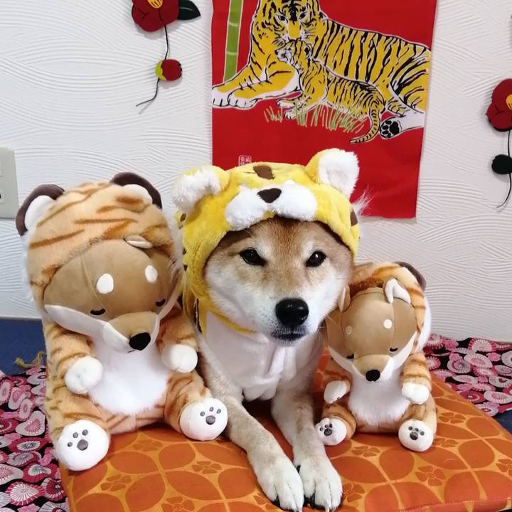 B8f4a969 21d3 4e9c b248 d00debdab188 1641042692436