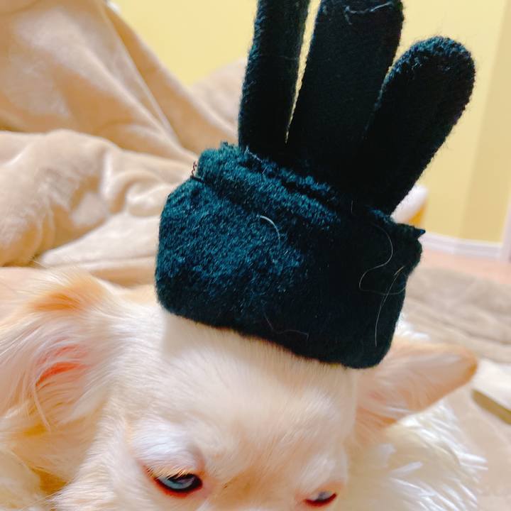 B8f4d331 764e 4994 a51a 8950db843362 1640694326741