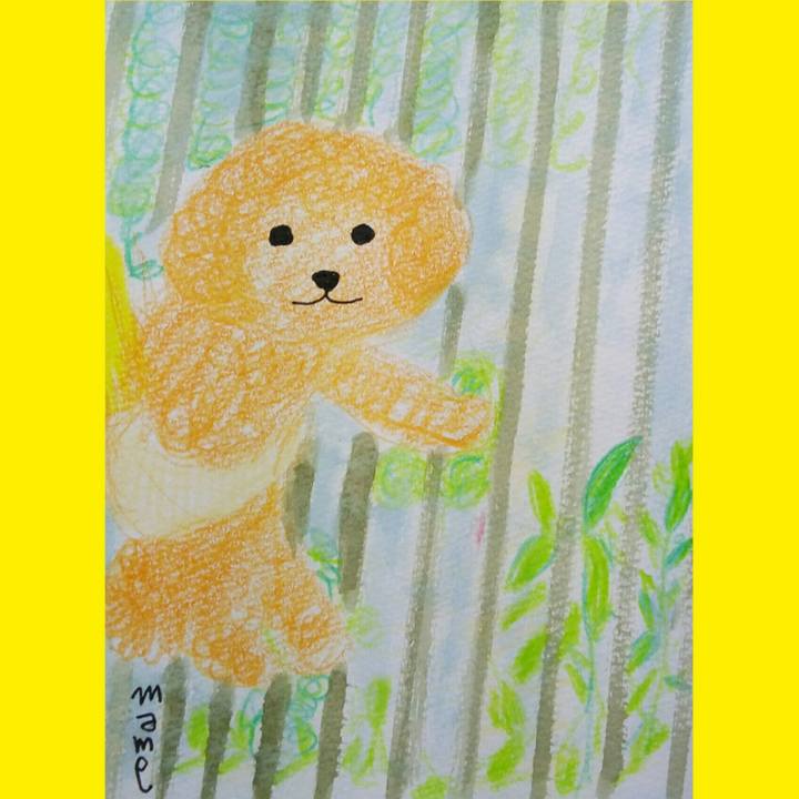 B8f50ff8 f0e4 4d51 bd65 2623dd381d75 1537345497280