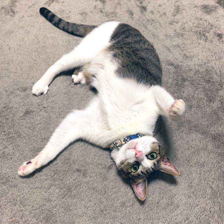 B8f53714 497a 4042 8b12 d3078edab4f3 1575383474422