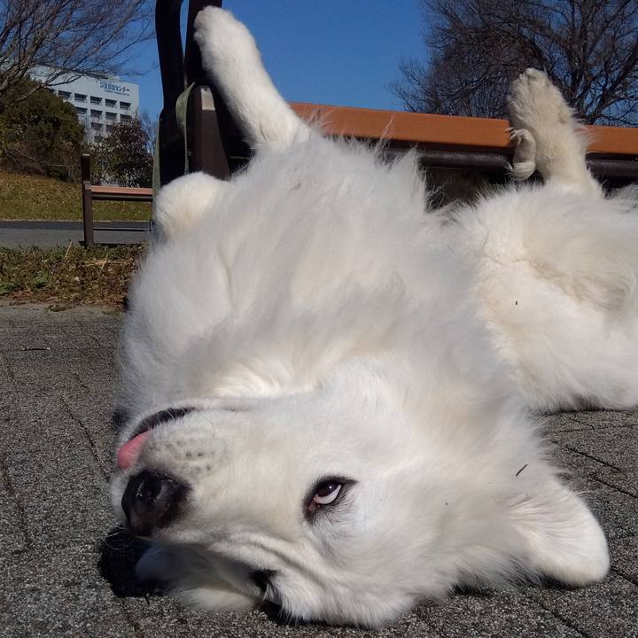 B8f566fe a383 408e 8221 c43146ad61d8 1677452609454