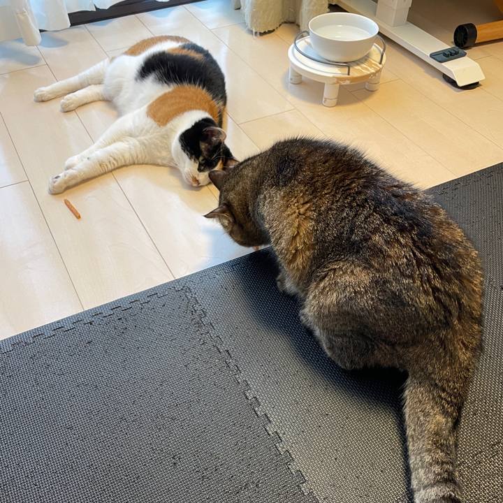 B8f56f6c 2366 4eda ba2c 008a0a6df3a1 1660352192148