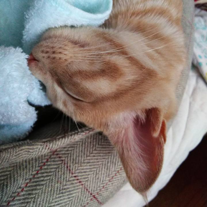 B8f57a3d 7965 4784 a8b8 648b4d84735c 1543645873855