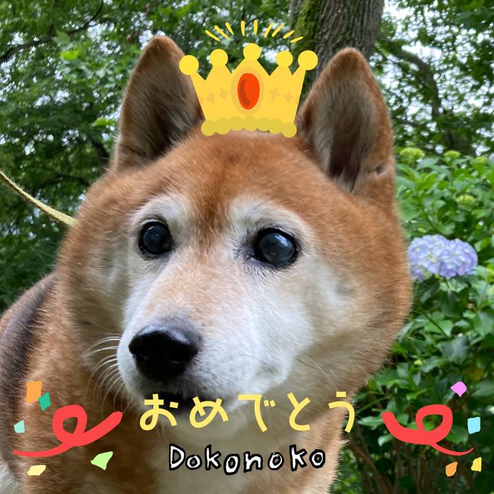 B8f5984d 9048 4bc0 82d0 d0bbe75c57bb 1685952691619