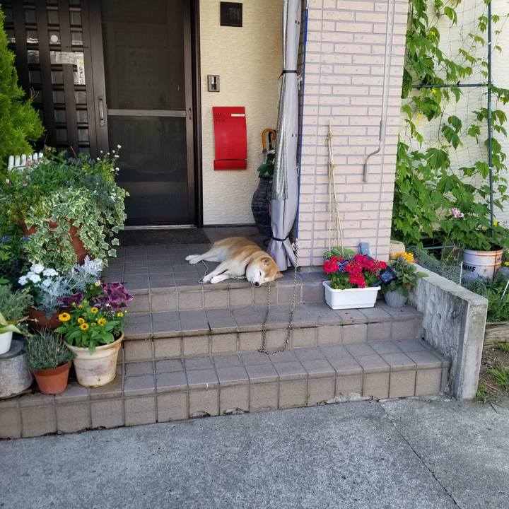 B8f5a2b4 75f8 4209 b1b3 4f86f4753ed4 1656633634352