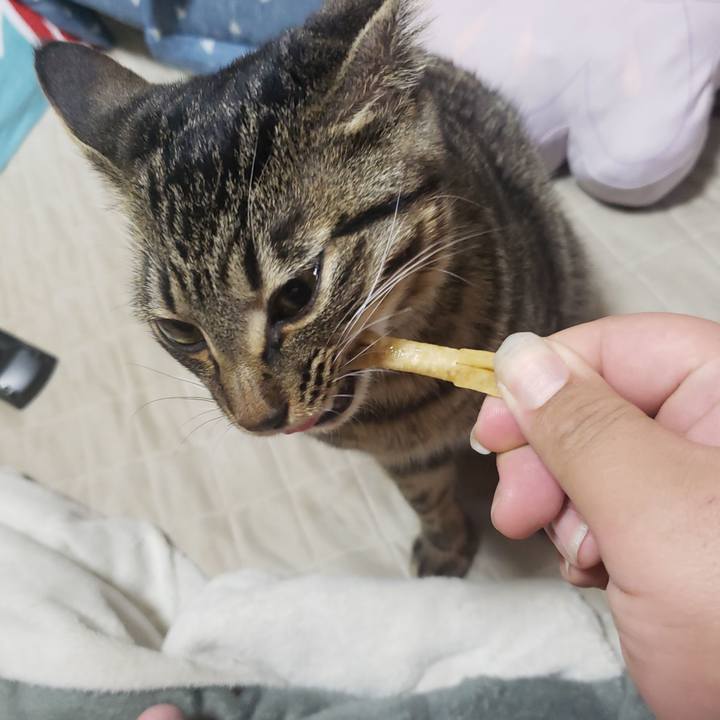 B8f5adcb 17f0 4c19 8fcd 1332714a9c1c 1544056013616