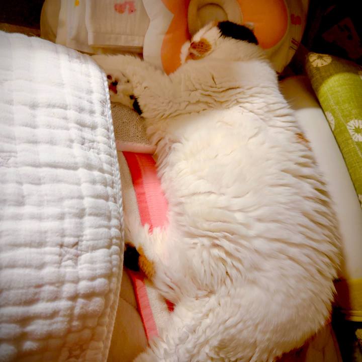 B8f5b0a8 30ae 4cb0 83d4 ef347a0fae71 1743609246321