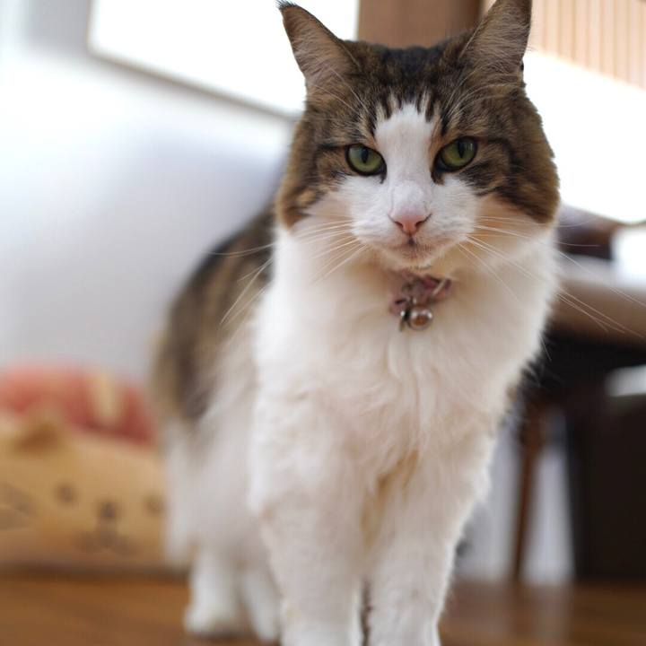 B8f5daf3 f073 4106 bf4d 1145273f98f5 1636085616196