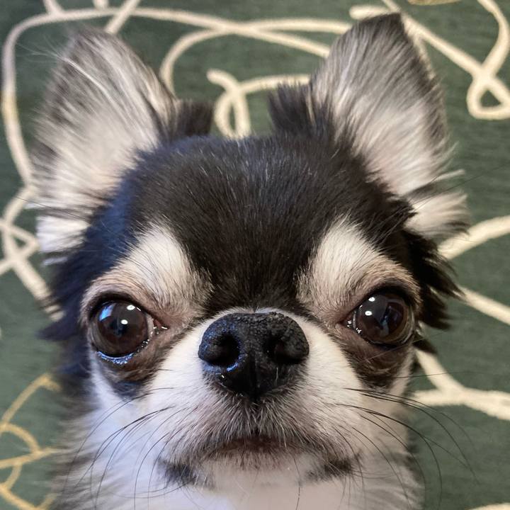 B8f63698 e4a8 43b6 b2a2 de38da26215b 1645572480057