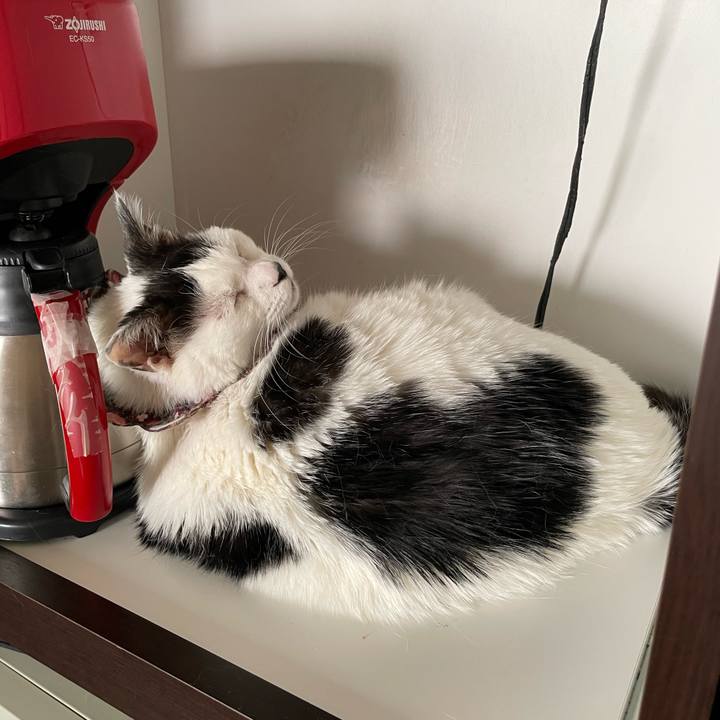 B8f65c26 baa0 481c 981b 75dcfd31ae06 1684653516938