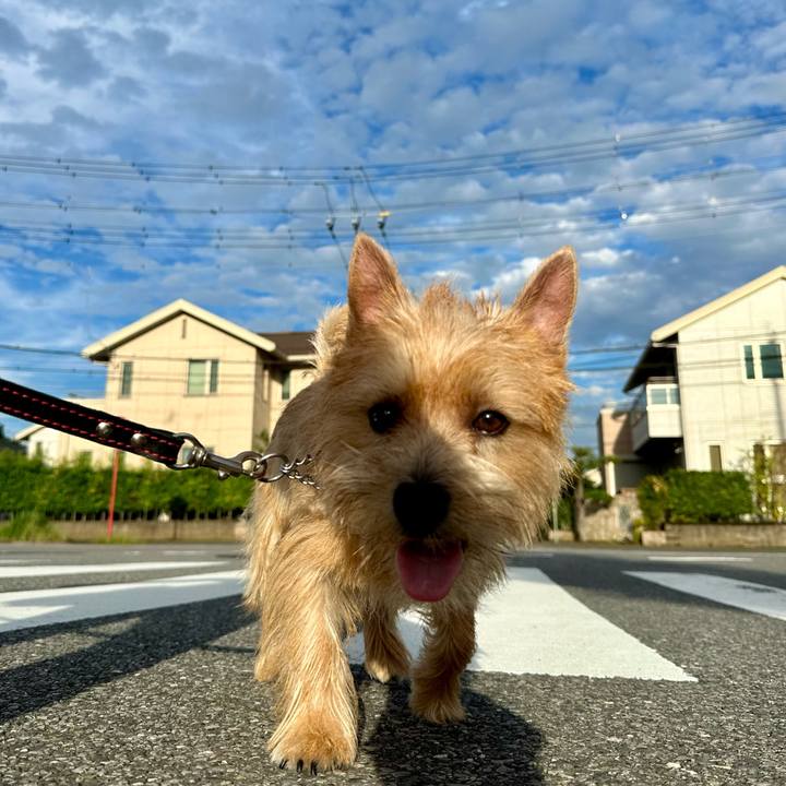 B8f665fe 673d 4602 9288 244e3670bcaf 1725198066803