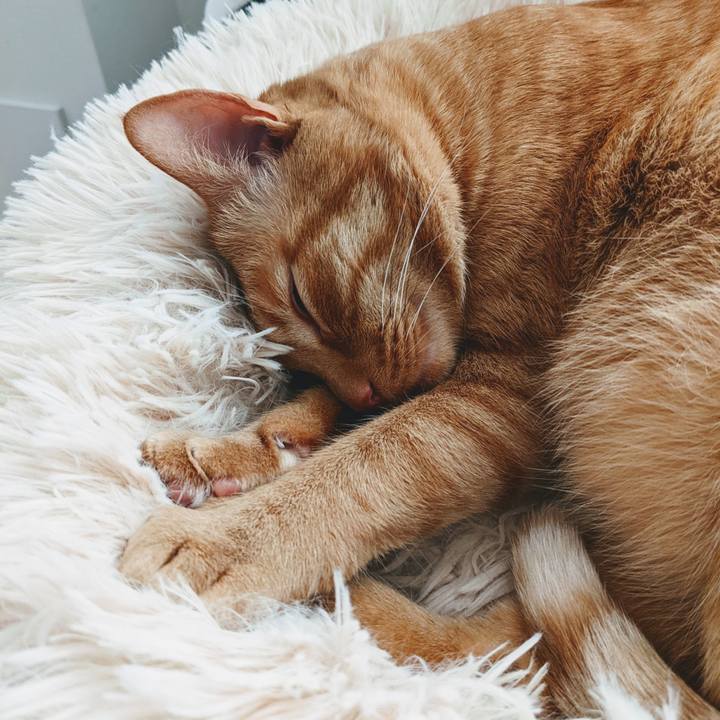 B8f6de3e 9e76 466f 8e6a 692f02c55f0c 1649233672155