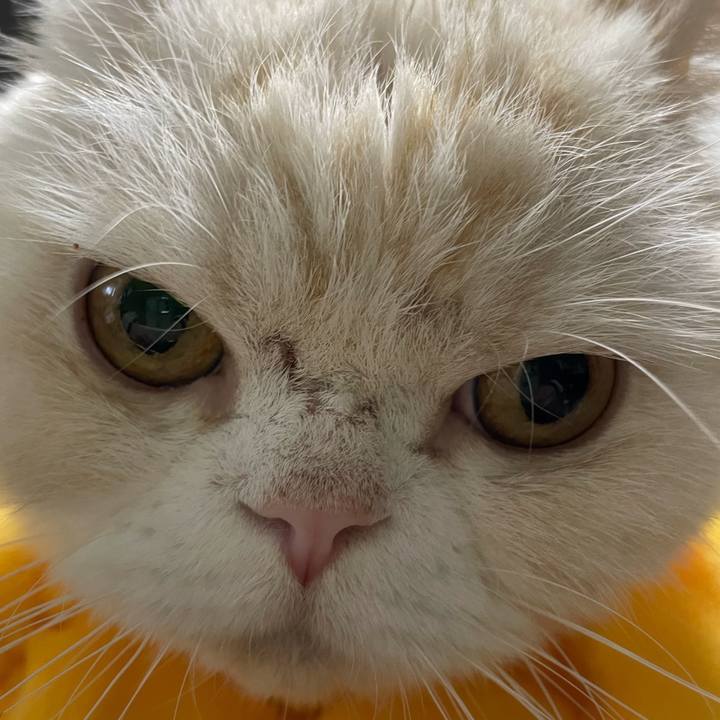 B8f73227 d73c 4c42 b278 006b00a8f60e 1765677515882