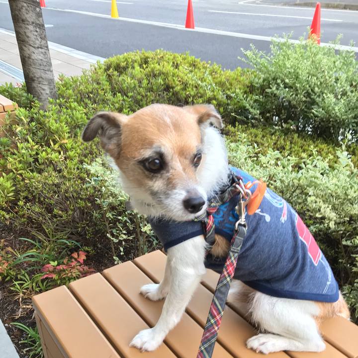 B8f75313 239c 46a5 9ed6 d1a68dc082ef 1565865009132