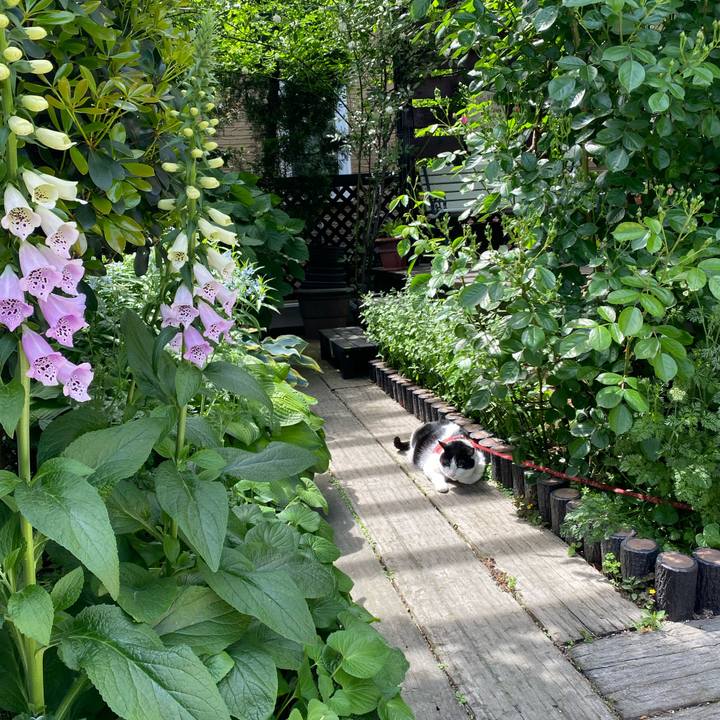 B8f76a61 59ff 4ad6 a112 2fdaa1248cdf 1747973852572