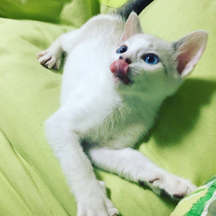 B8f76b40 1ea0 4c69 a001 40d35cbfc382 1532182718710