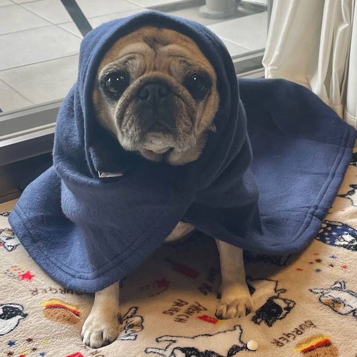 B8f77aa3 082e 4736 9806 5f4992dcdcf6 1769042793860