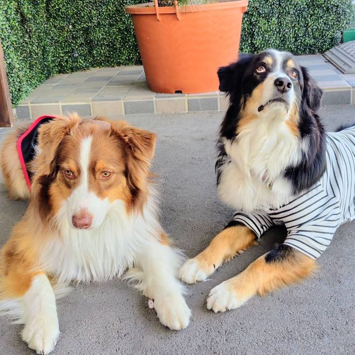 B8f7a342 c087 47d2 9e51 7b46c21c689e 1769858037146