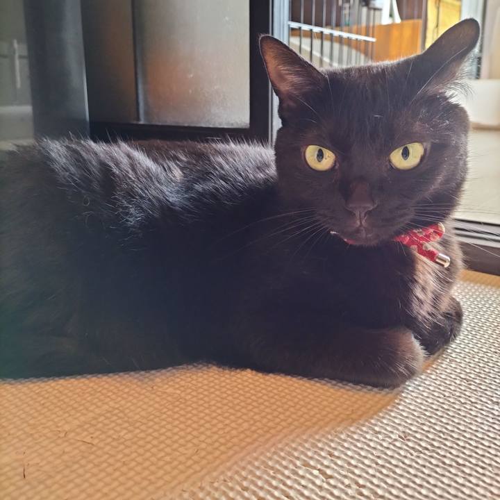 B8f7bad2 293e 4b54 905e 3b8313556b7d 1663798997547