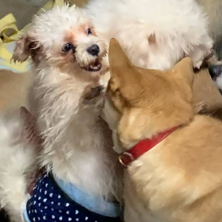 B8f7d990 44f6 44a3 9584 45880ba29983 1667202872597