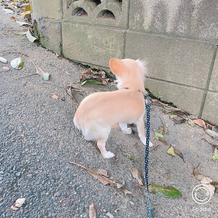 B8f7fbb4 f5cf 4f42 bdc7 c11ff7e2cf14 1602660264012