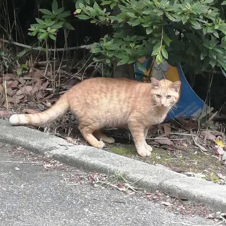 B8f80fab b517 433d 98b1 27c19f8a448d 1624309434211